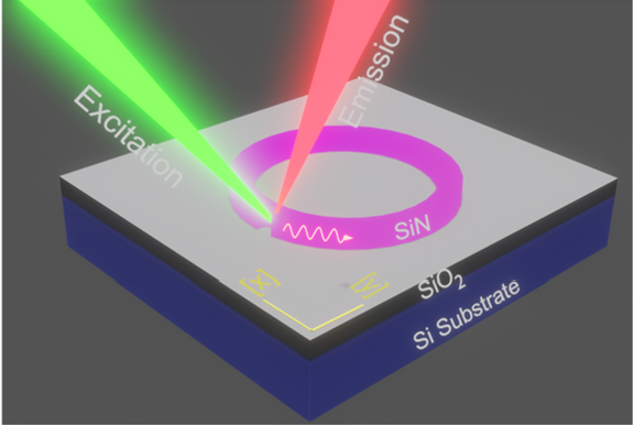 Schematic layout of coupled excitation and detection of cavity mode. Image credit: Authors of the study