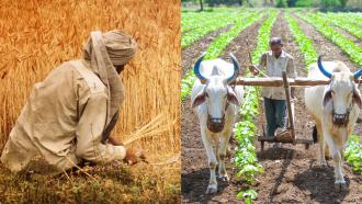 Farming in India