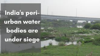 Peri-urban lake in Delhi