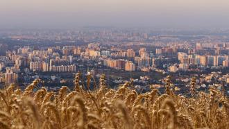 Image of crops and Pune city