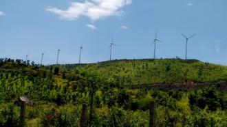 Navigating the Green Path: India's Climate Journey Explored