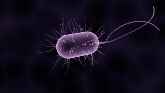 India now part of a global effort in research on antimicrobial resistance