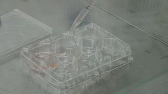 Photo : Purabi Deshpande / Research Matters