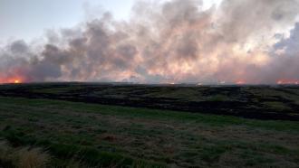 Stubble burning: USD 30 billion goes up in flames each year for India, says study 