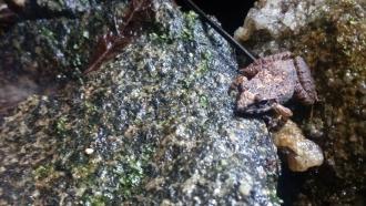 Photo : Vidisha Kulkarni / Research Matters