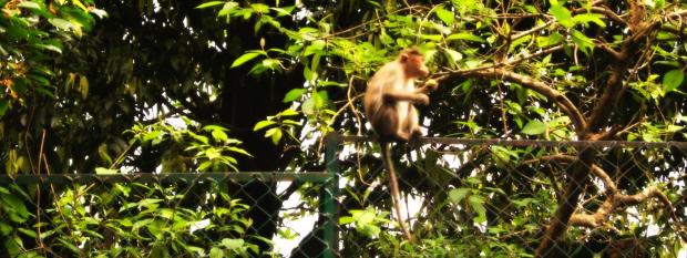 Photo: Siddharth Kankaria / Research Matters