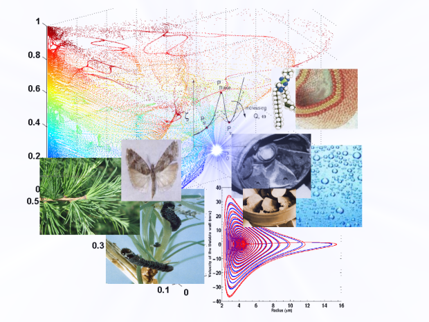 Image Credit: Prof. Janaki Balakrishnan.
