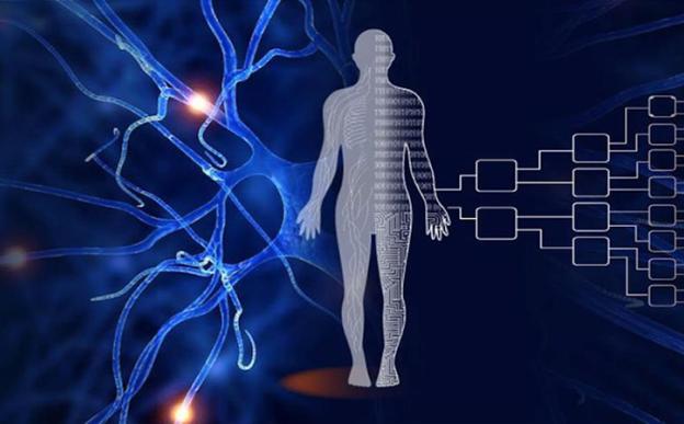 বিদ্যাৰ্থীসকলে এতিয়া সহায় কৰিব পাৰে ‘প্ৰকল্প মানৱ - মানৱ মানচিত্ৰৰ’ নিৰ্মাণত