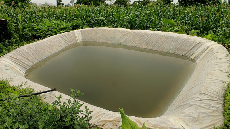 Rainwater harvesting ensures sustainable groundwater availability Rainwater harvesting ensures sustainable groundwater availability