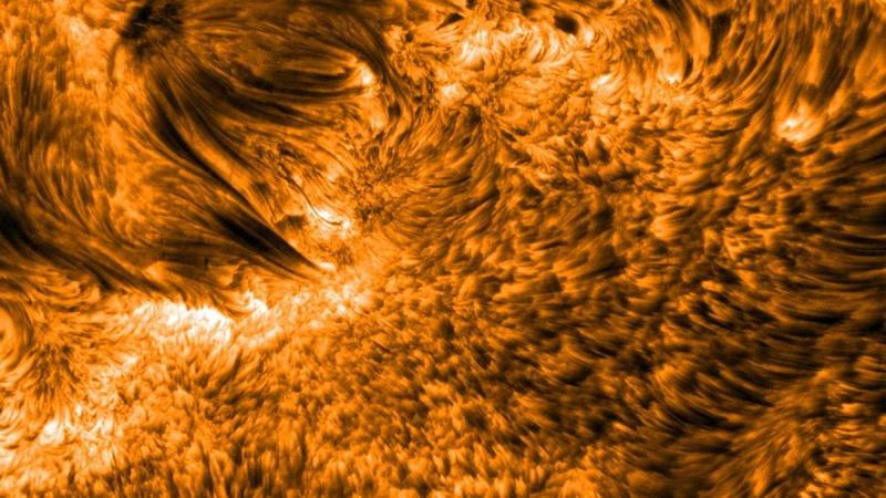 Solar active region 10380, in June 2004. Spicules (solar flux tubes) are visible, particularly evident as a carpet of dark tubes on the right. Image: SST, Royal Swedish Academy of Sciences, LMSAL Study probes factors behind the Sun spitting out plasma