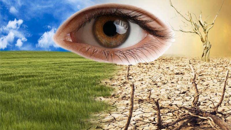 Eye and climate change