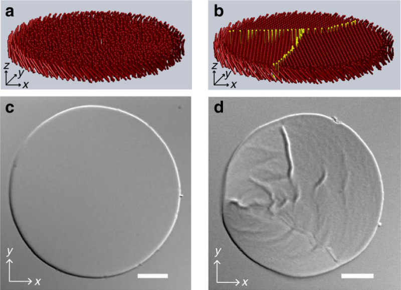 Fluid and crystalline phases of colloidal membranes from Nature Communications Fluid and crystalline phases of colloidal membranes from Nature Communications