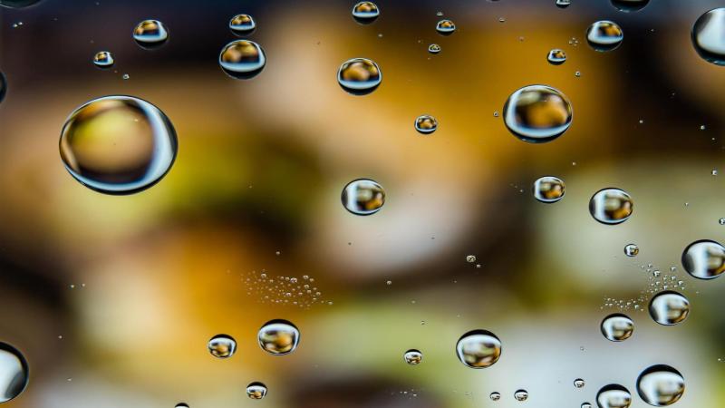 Photo by Wengang Zhai on Unsplash What influences coronaviruses’ survival on different surfaces?