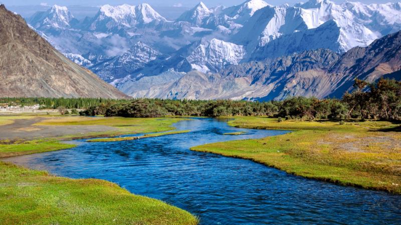 Himalayan Stream 