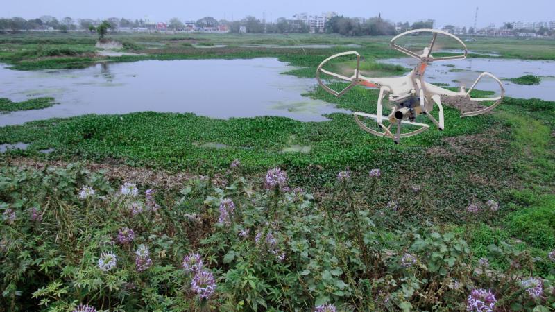 Drone for ecological surveillance Drone over a swampy lake
