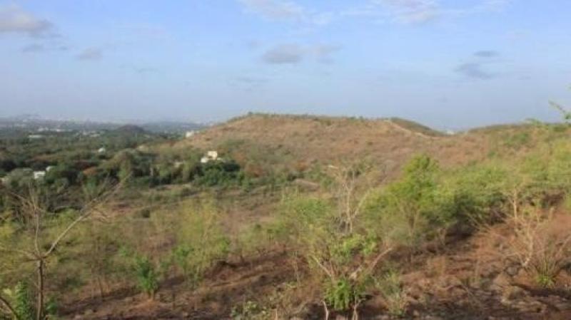 पुण्याची वेताळ टेकडी आणि पर्वती टेकडी. छायाचित्र सौजन्य: आशिष नेर्लेकर पुण्याची वेताळ टेकडी आणि पर्वती टेकडी. छायाचित्र सौजन्य: आशिष नेर्लेकर