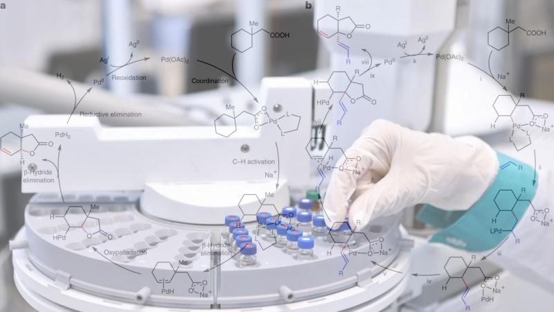 A counterintuitive chemical reaction to simplify the production of biologically important compounds A counterintuitive chemical reaction to simplify the production of biologically important compounds