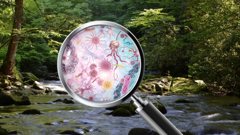 Representative image AMR in Streams