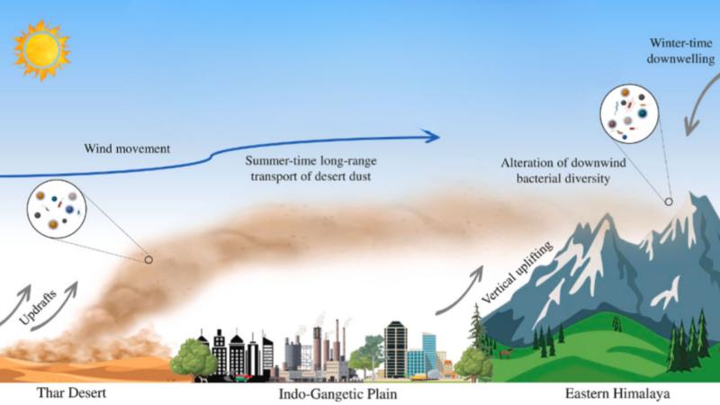 Graphical representation of dust transport