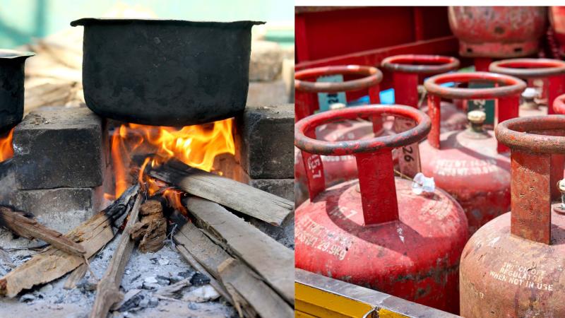 Representative image of cooking fuel and LPG Firewood and LPG
