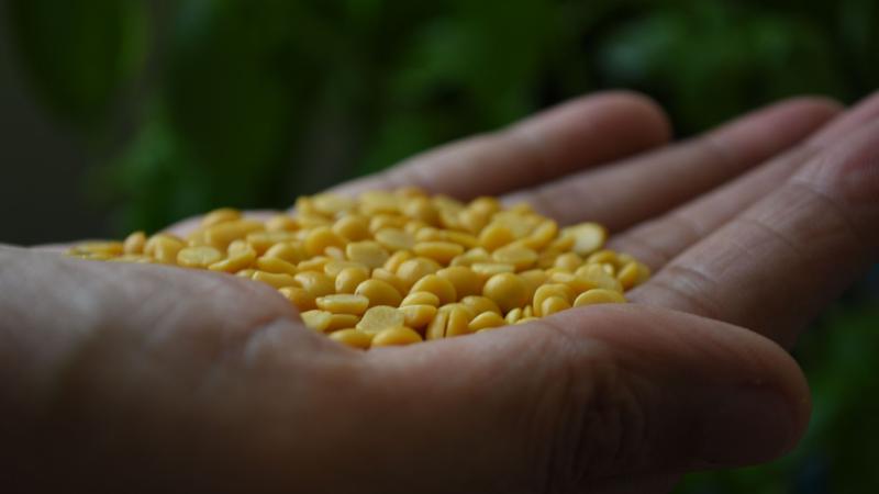 Photo : Purabi Deshpande / Research Matters Photo : Purabi Deshpande / Research Matters