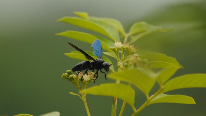 Photo : Purabi Deshpande / Research Matters Photo : Purabi Deshpande / Research Matters
