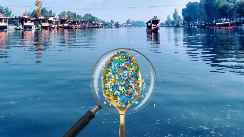 Representative Image: Microplastics in Dal Lake Microplastics in Dal Lake