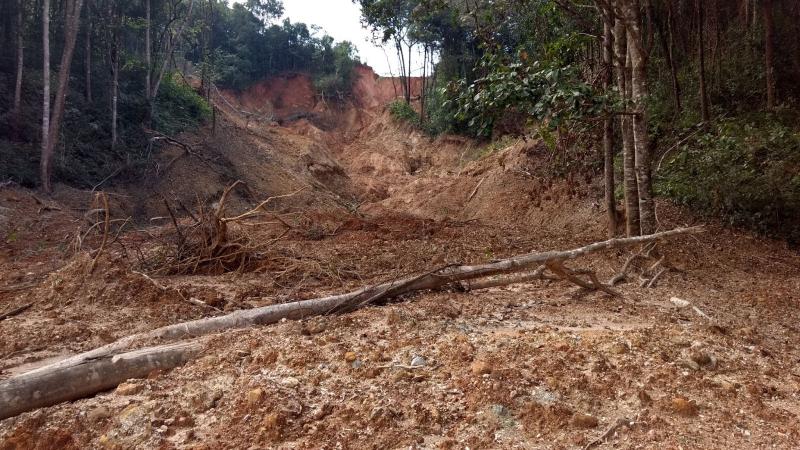 A landslide in the Central Western Ghats resulting in soil erosion. Photo: H. S. Sudhira Soil Erosion
