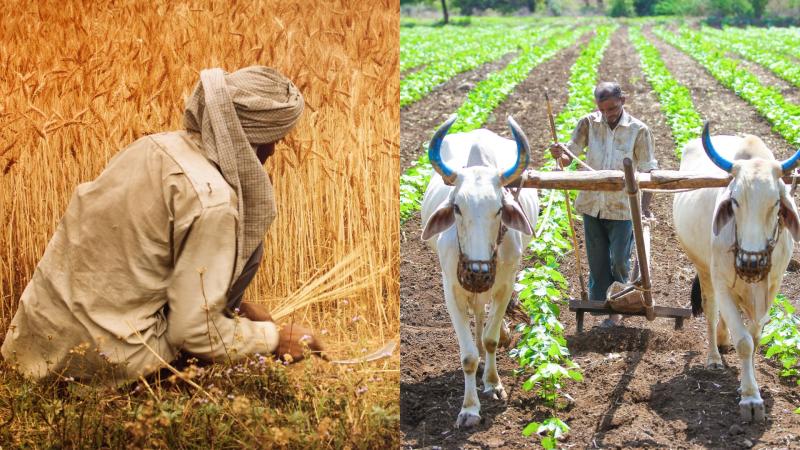 Representative image Farming in India