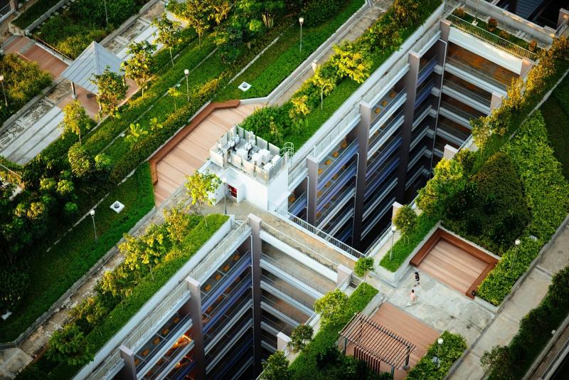 Representative image of Green roofs: Photo by CHUTTERSNAP on Unsplash Representative image of Green roofs.
