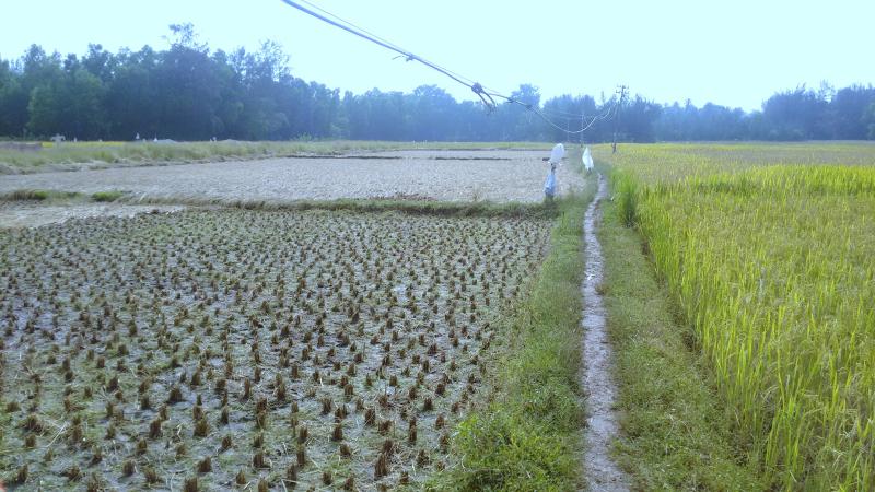 Farmland