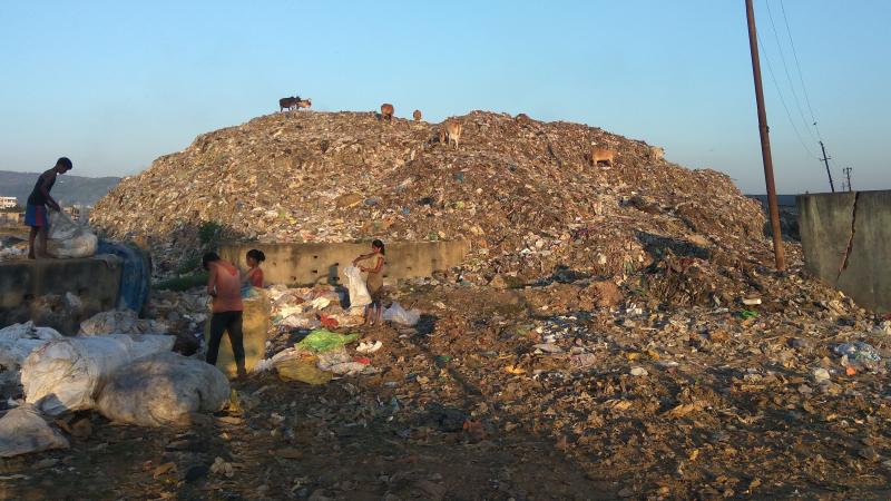 Photo : Vignesh Kamath / Research Matters Photo : Vignesh Kamath / Research Matters