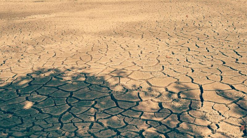 Land Degredation Degraded Land