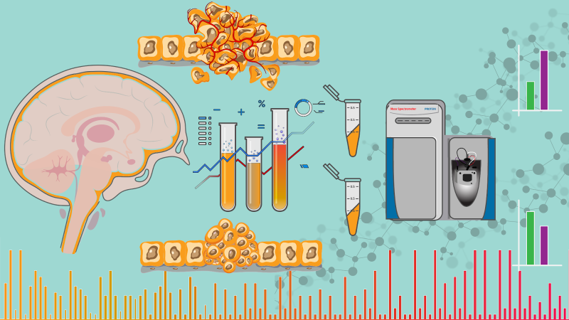 Scientifickly A graphic representation of biomarkers that could predict meningioma severity
