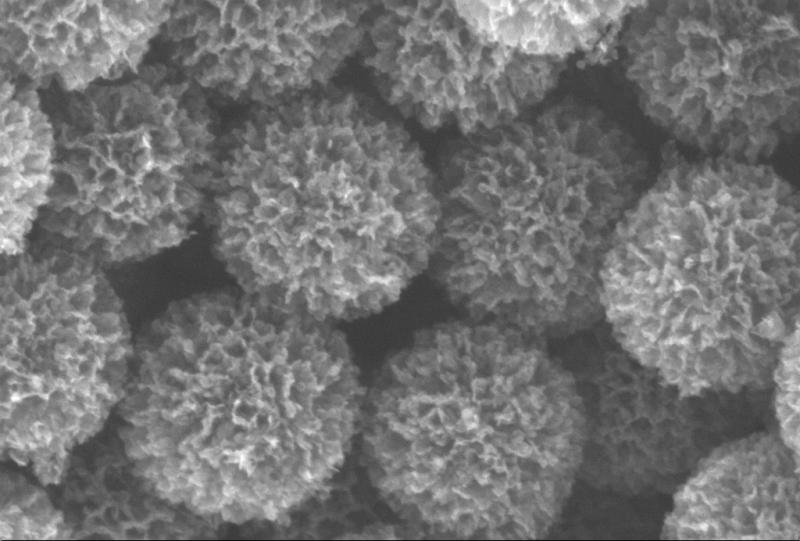 Image: Nano Hard-Carbon Floret nanoparticles. Credit: Prof. C. Subraminam Nano Hard-carbon Florets