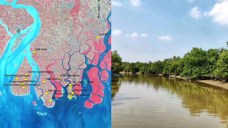 Sundarbans