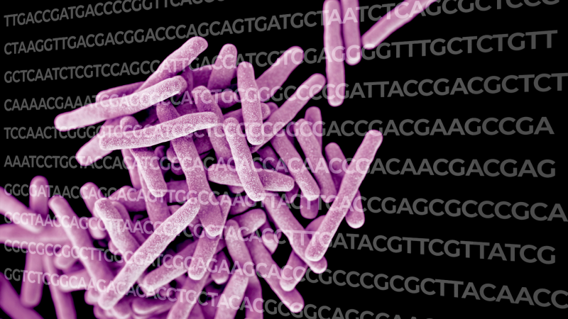 Sudden jumps punctuate gradual changes in bacterial gene sequences Sudden jumps punctuate gradual changes in bacterial gene sequences