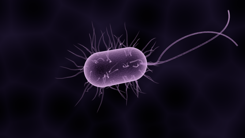 India now part of a global effort in research on antimicrobial resistance