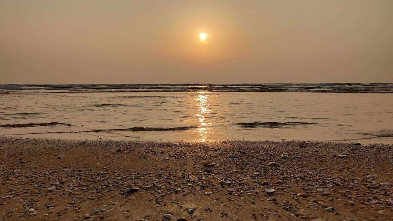 Photo Credit: Vignesh Kamath World Wildlife Day: Greening the Blue