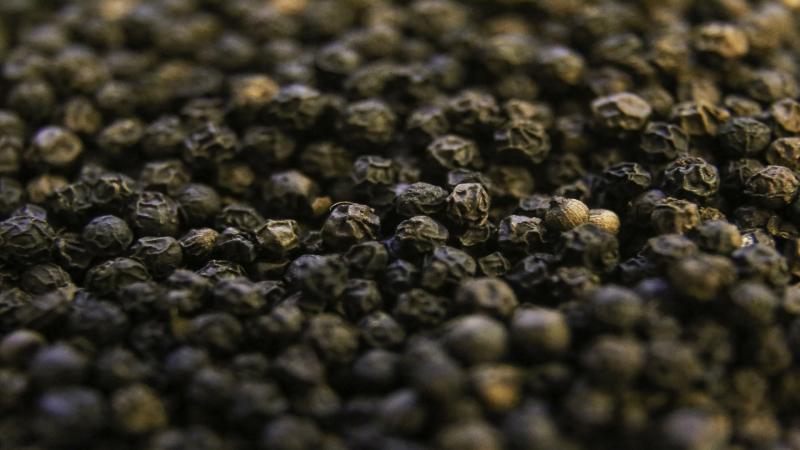 Rachel Benn, Pixabay Paparazzi on the black pepper