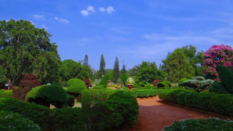 ಬೆಂಗಳೂರಿನ ಉದ್ಯಾನವನಗಳಲ್ಲಿ ಹಕ್ಕಿ ಚಿಟ್ಟೆಗಳ ಕಲರವ! 