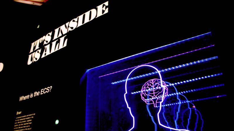 Photo: Bret Kavanaugh via Unsplash What type of intelligence do you have?