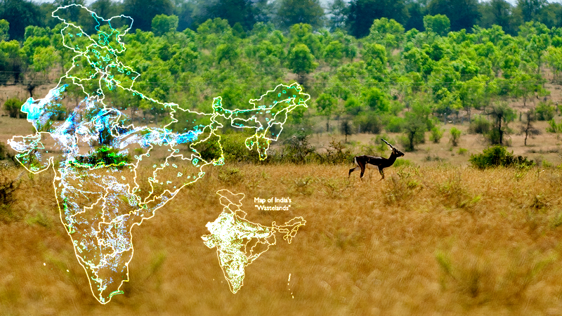Not wastelands, but thriving ecosystems Comparative maps showing the extent of ONEs and wasteland categories in India; Blackbuck - an endemic species of ONEs Original pictures of Map and Blackbuck - Authors of the paper