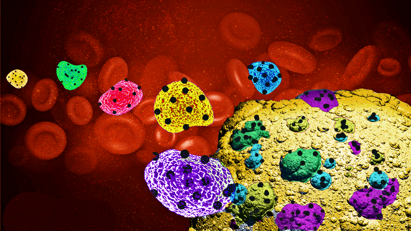 Cancer Invasion: Mixed Cells Make More Headway