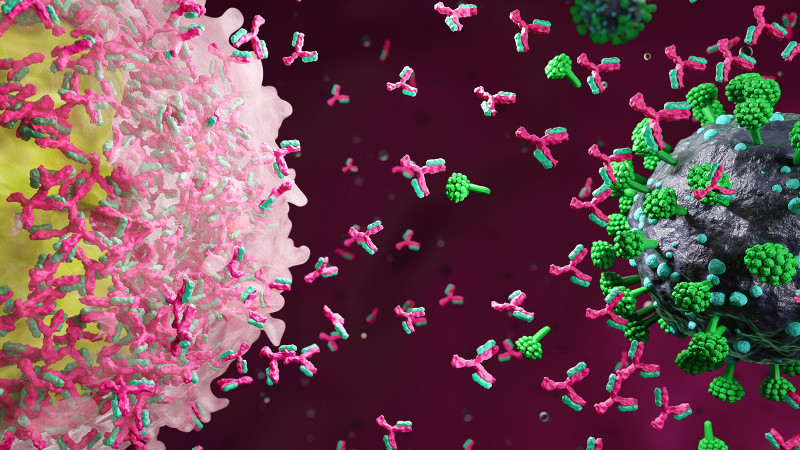 CAR-T cell therapy for cancer cure CAR-T cell therapy for cancer cure