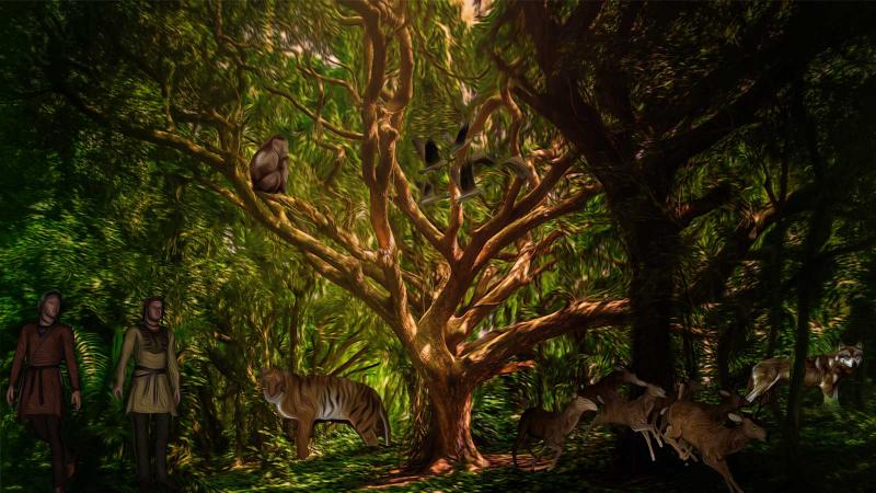 A holistic approach to biodiversity conservation A holistic approach to biodiversity conservation