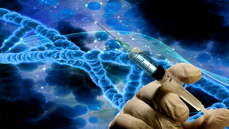 The role of a body patterning gene in driving prostate cancer now explained The role of a body patterning gene in driving prostate cancer now explained