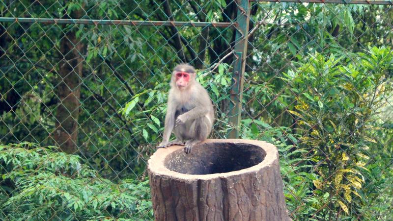 Photo : Siddharth Kankaria / Research Mattrs