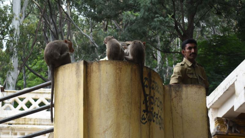 Photo : Purabi Deshpande / Research Matters Photo : Purabi Deshpande / Research Matters