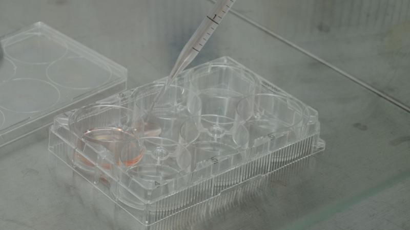 Photo : Purabi Deshpande / Research Matters Photo : Purabi Deshpande / Research Matters